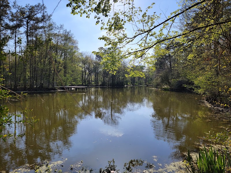 Ponderosa Walking Park