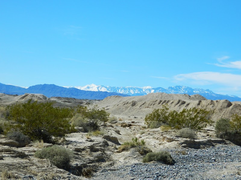 Ice Age Fossils State Park