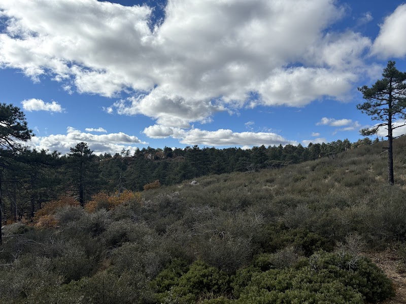 Wooded Hill Nature Trail