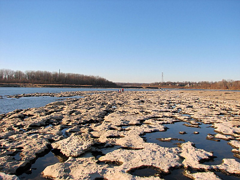 Falls of the Ohio State Park