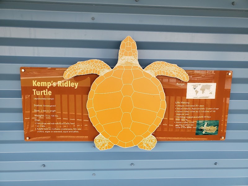 The Florida Aquarium Sea Turtle Rehabilitation Center