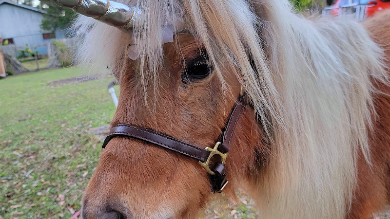 Noe Worries Ranch, LLC