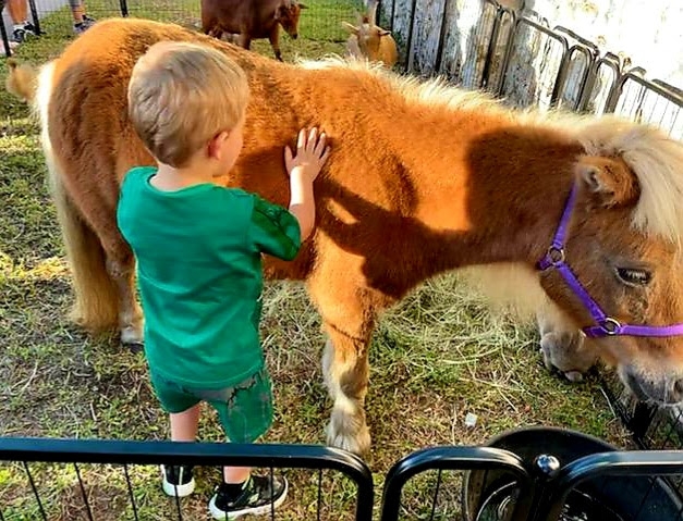 Noe Worries Ranch, LLC