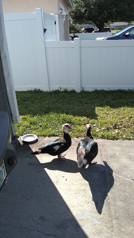 Skyview Terrace Park