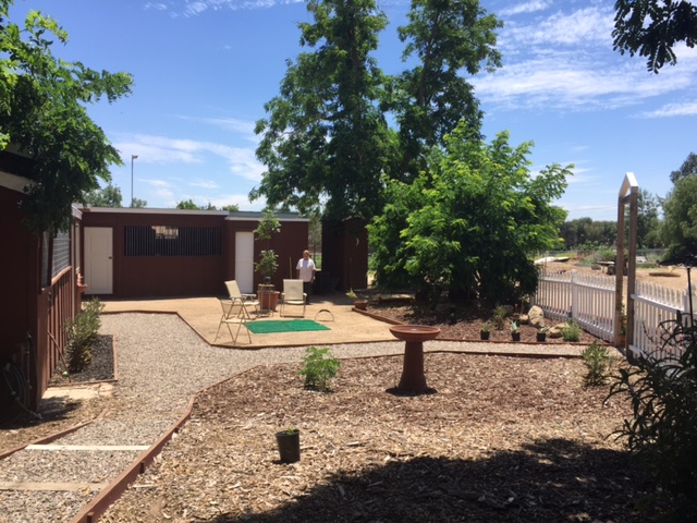 Total Raptor eXperience