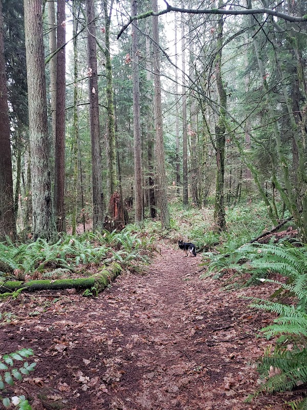 Lee Memorial Forest