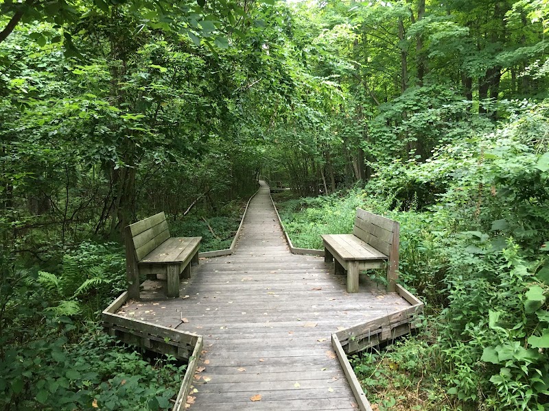 Mass Audubon's Broad Meadow Brook Conservation Center and Wildlife Sanctuary
