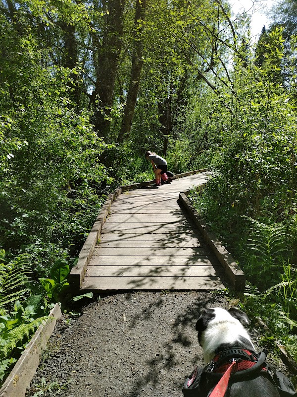 Mission Creek Nature Park