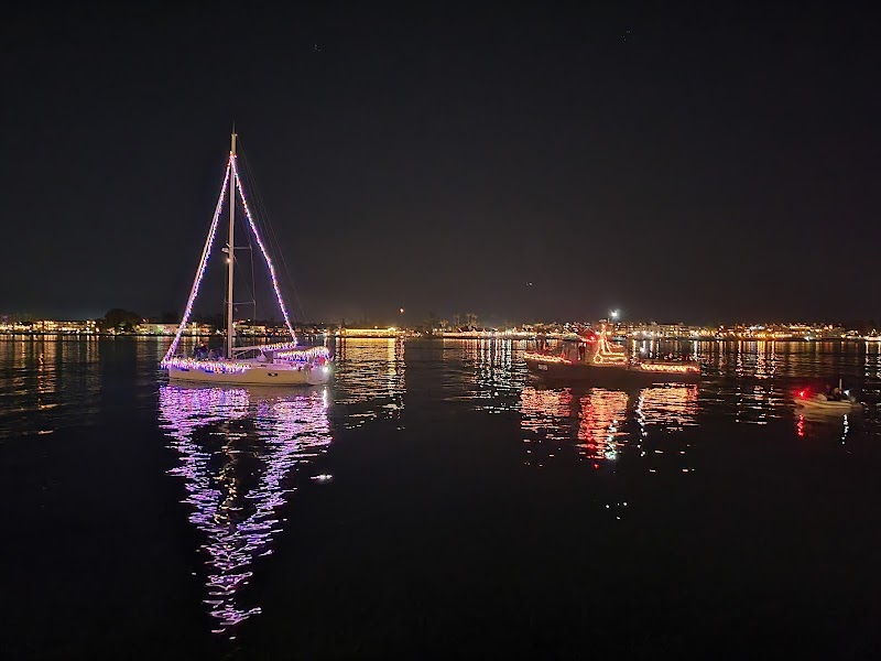 Amazing Christmas Lights and Decorations