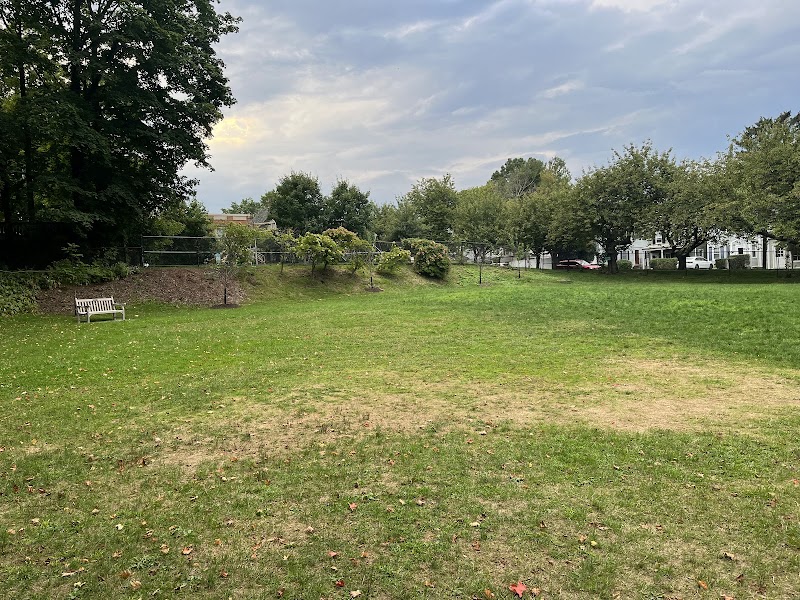 William Street Park & Playground