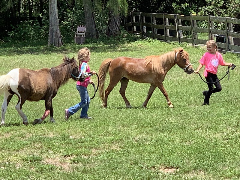 Delmar Farm Sanctuary, Inc