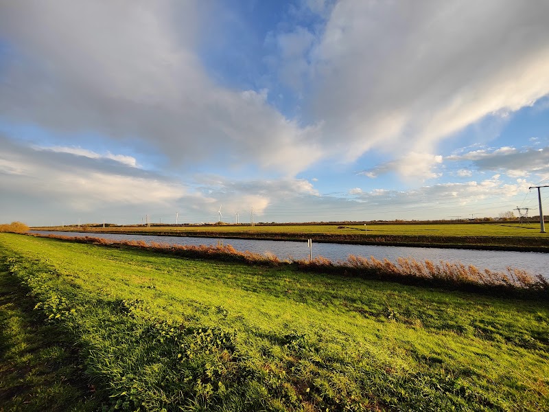 Riverside Walk Views