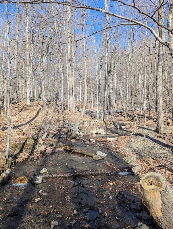Ruisseau des bouleaux, parc national du Mont-Saint-Bruno