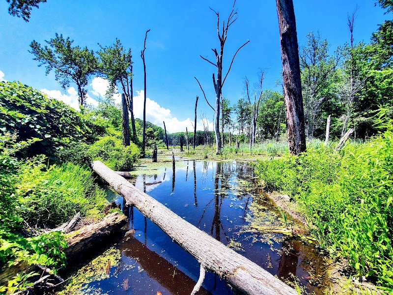 Black Marsh Natural Area