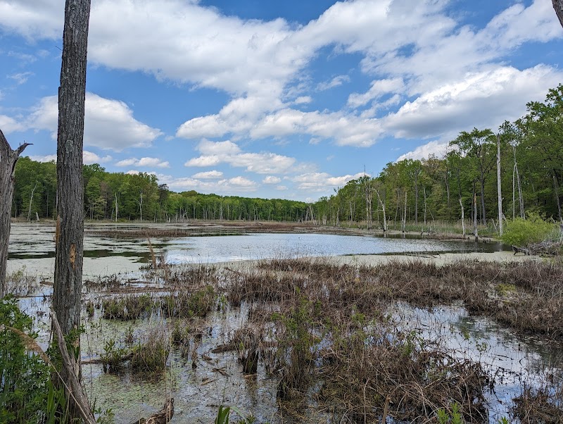 Black Marsh Natural Area
