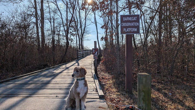 Barnegat observation platform