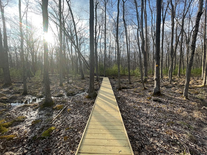 Path of Accumulation