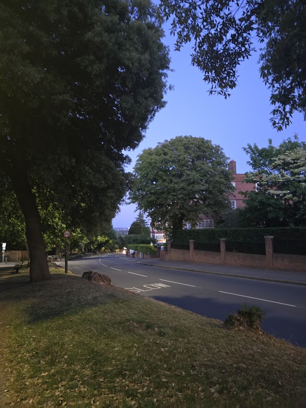 Wimbledon Hill View Point