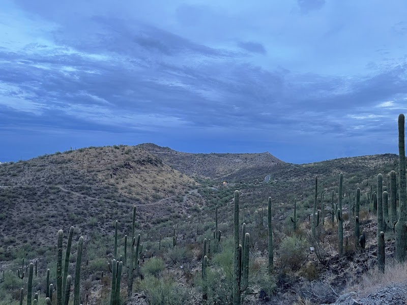Tumamoc Hill Hiking Trail