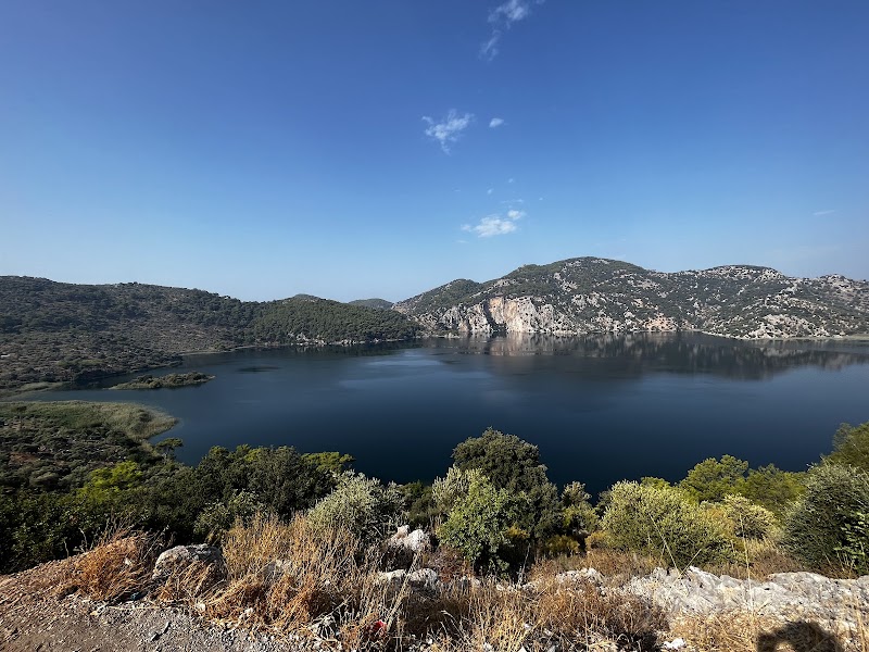 Manzara Noktası