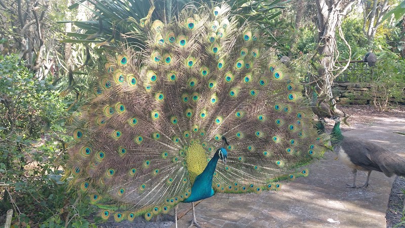 Discover Florida Tours