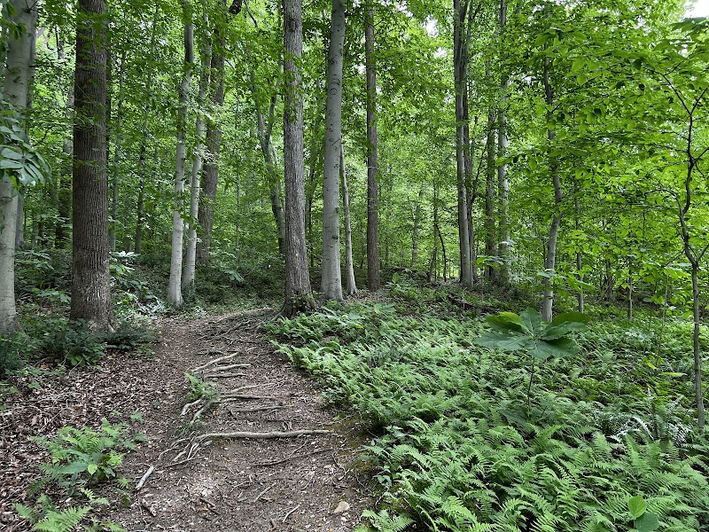Gunpowder Falls State Park
