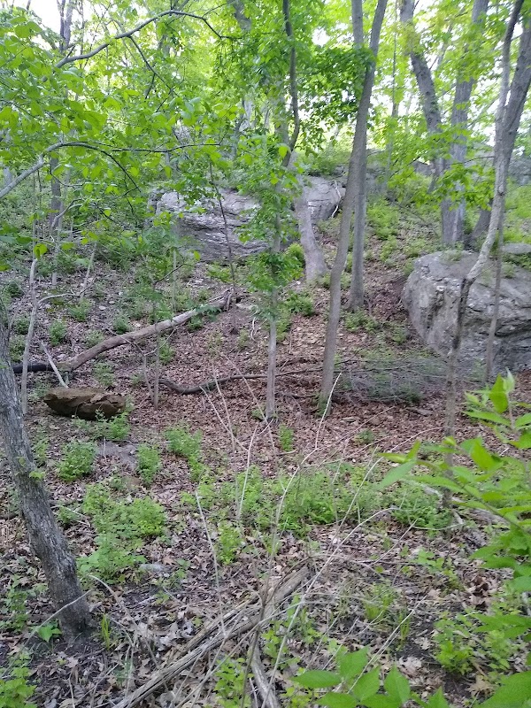 Blue River Glades Natural Area