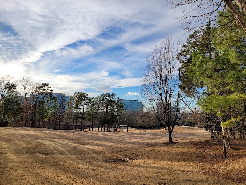 Ballantyne's Backyard