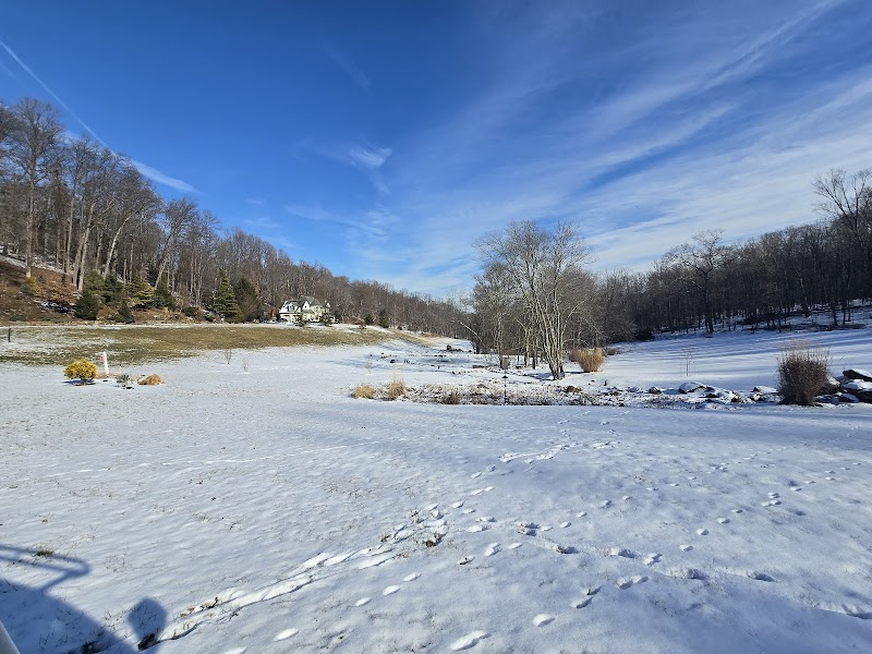 Rocks Wood and Garden