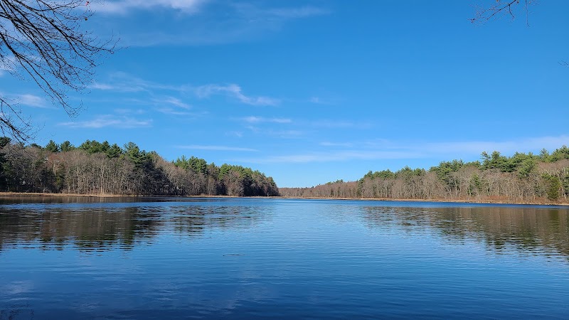 Hewitt's pond reserve