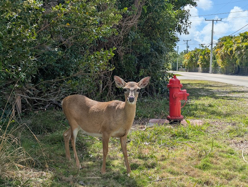 National Key Deer Refuge
