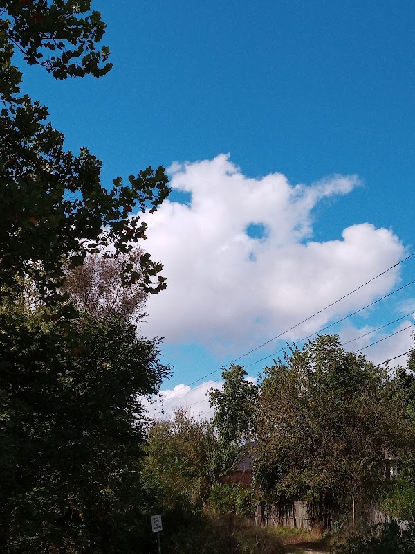 Madison Natural Area