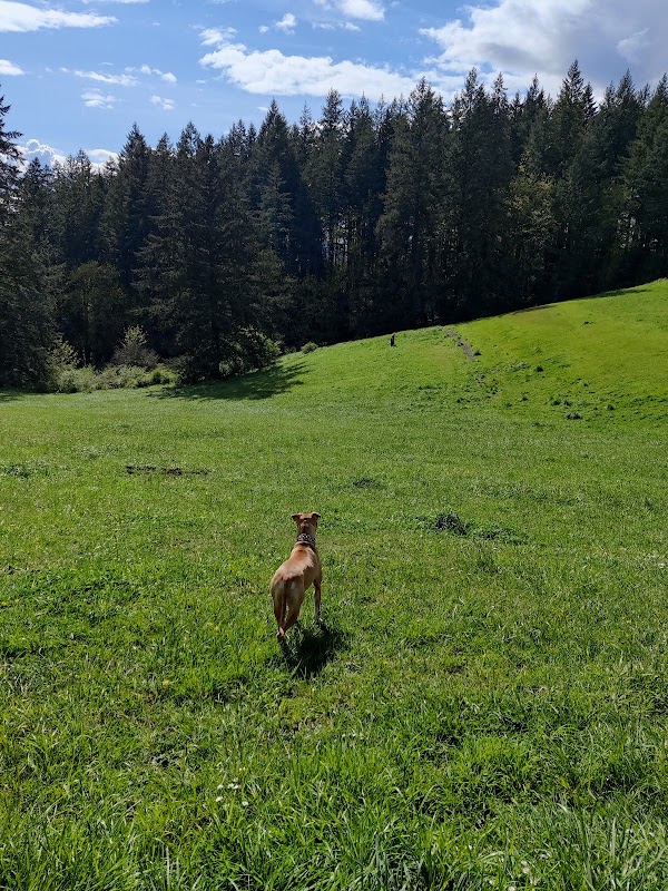 Winkelman Dog Park
