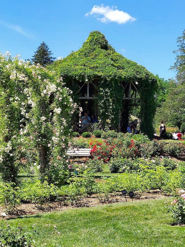 Friends of Elizabeth Park