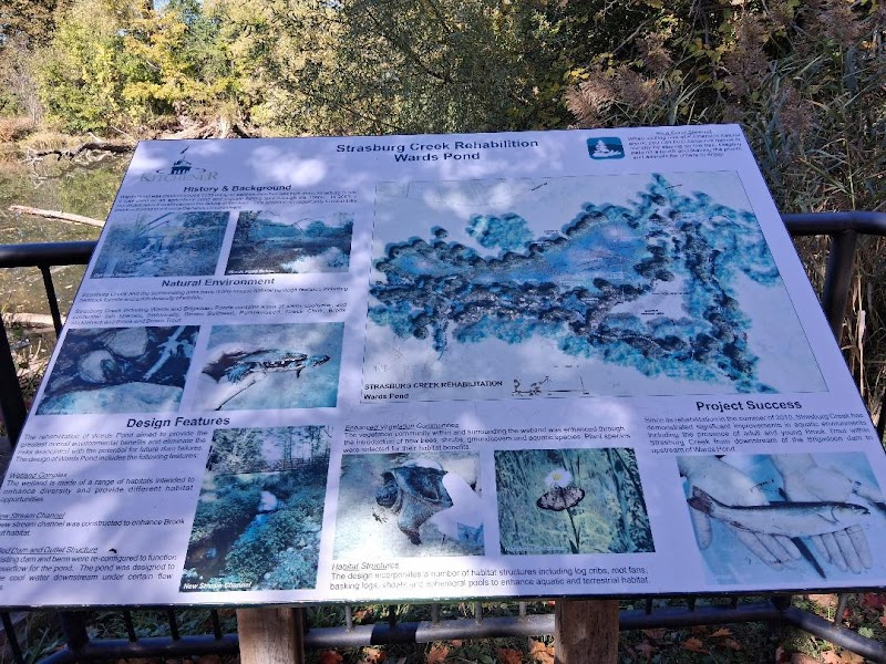 Little Lovers' Lake