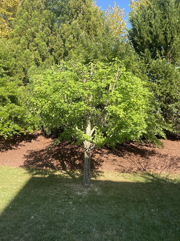 Wentworth Green Trail Head for Wellington