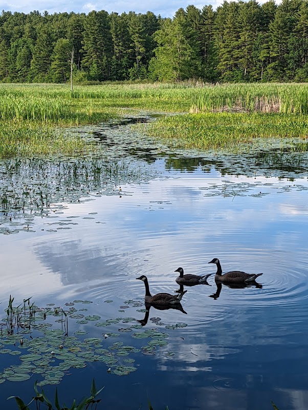 Beaver Brook Association Great Meadow Trailhead