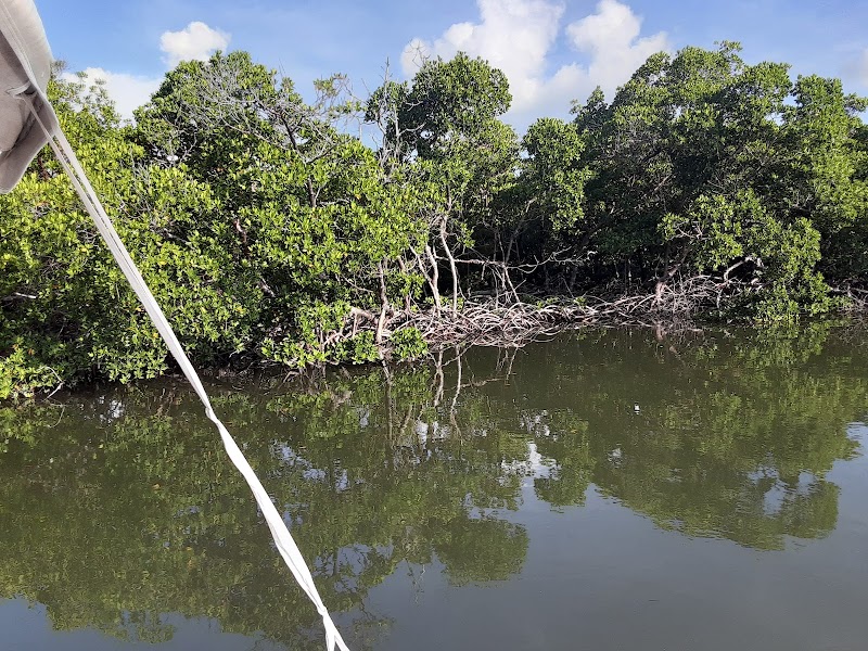 Rookery Bay National Estuarine Research Reserve