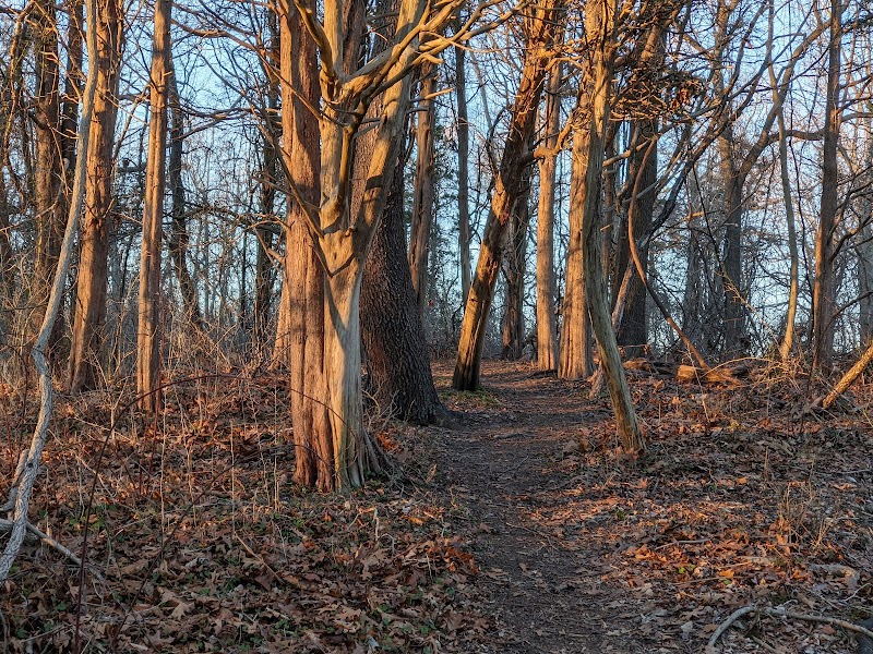 Rassapeague County Park