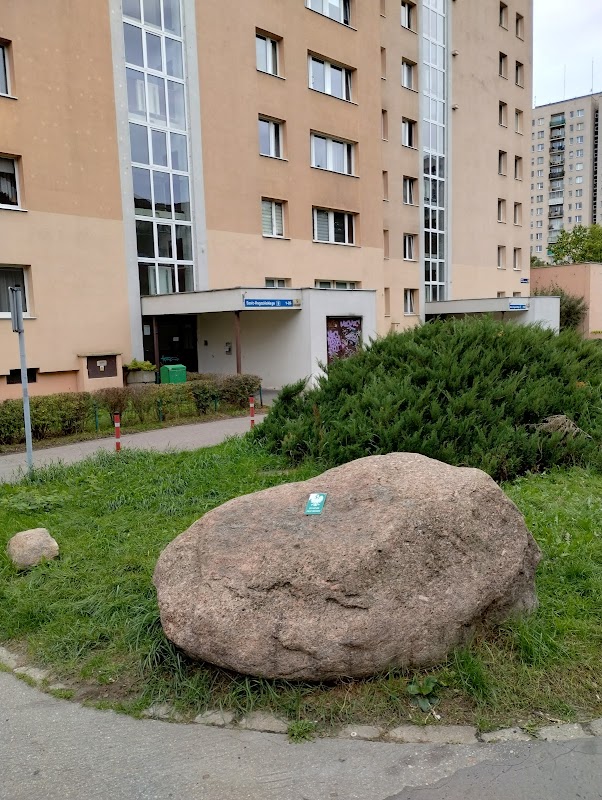 Pomnik przyrody - Głaz narzutowy