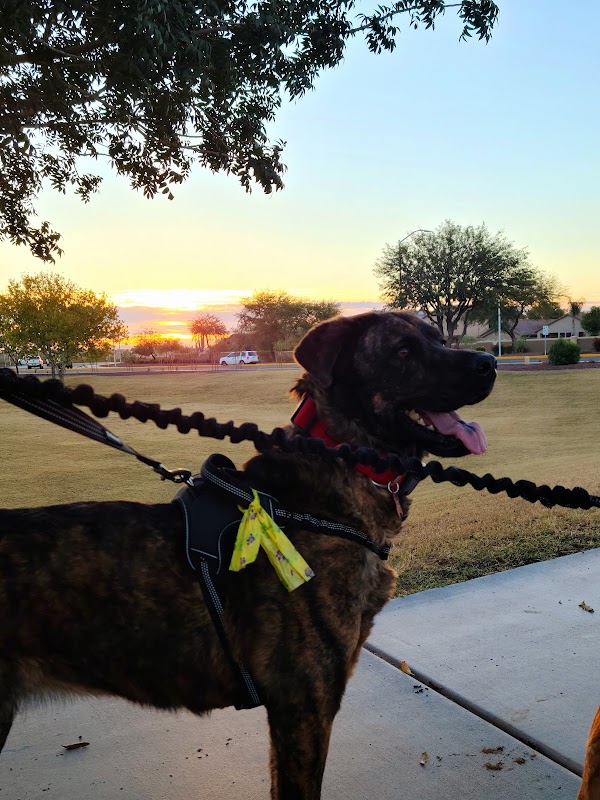 Crossriver Summit at Crossriver Point HOA Park