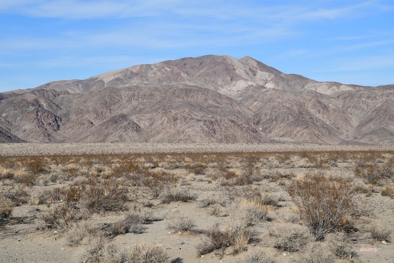 Pinto Basin Sand Dunes Trailhead