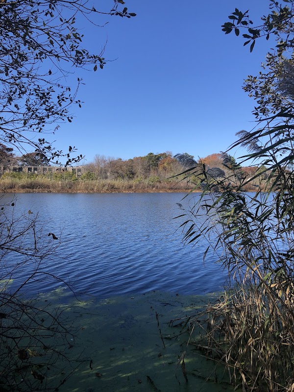 Swan Lake Park