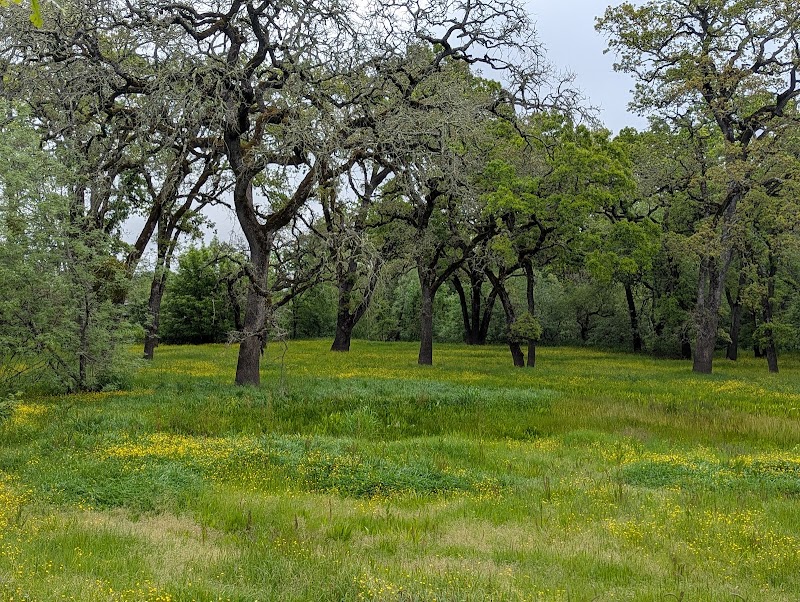 Tomodachi Park (Laguna de Santa Rosa Wetlands Preserve)