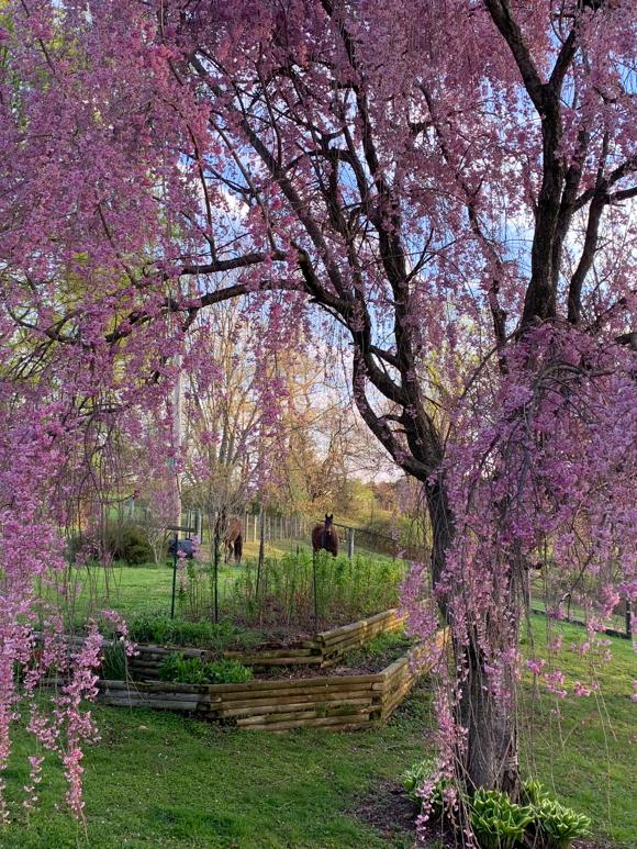 Magnificent Acres