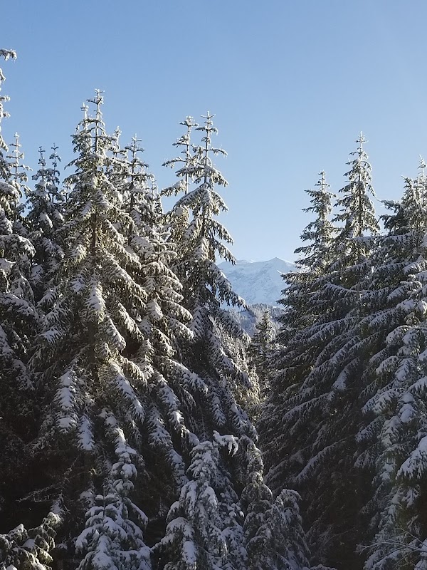 Clearwater Trail 1178