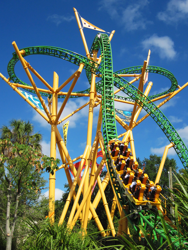 Cheetah Hunt