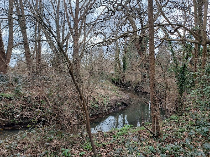 Pynchester Moated site