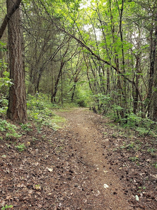 Forest Park