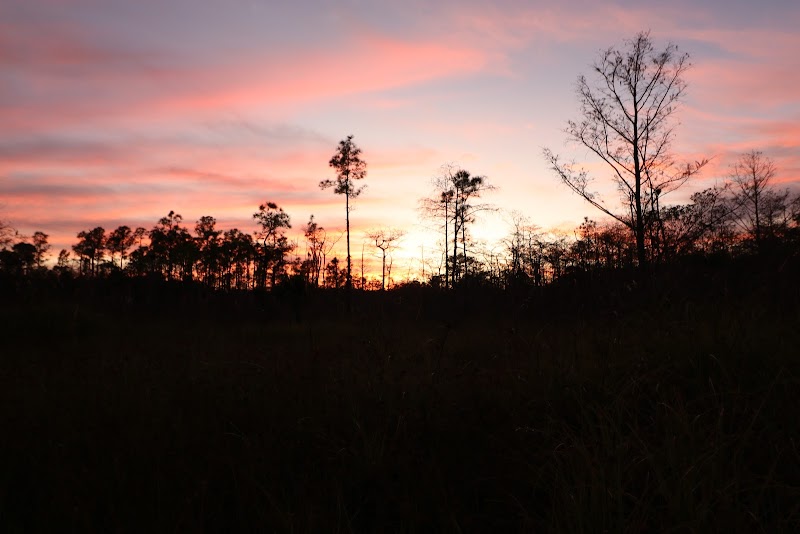 Big Cypress Institute
